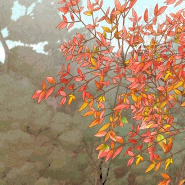 비뢰도 59화 11