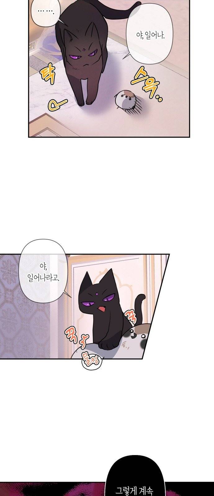 곱게 키웠더니, 짐승 5화 6