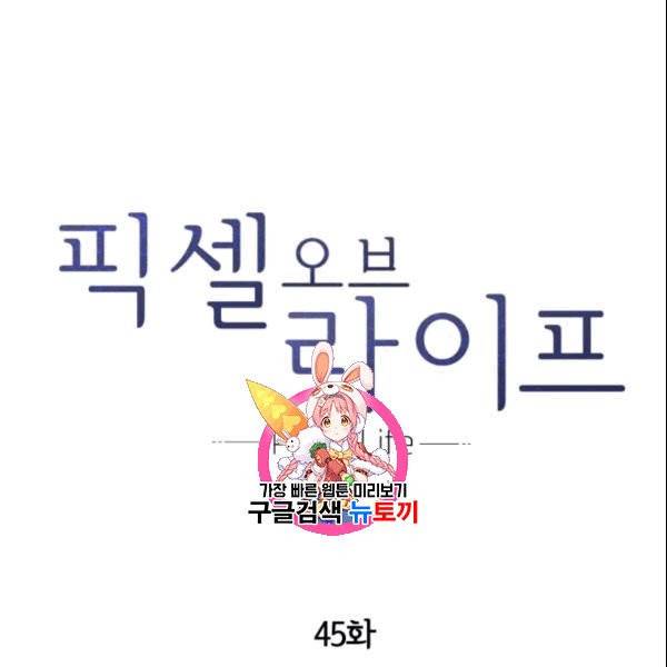 픽셀 오브 라이프 45화 1