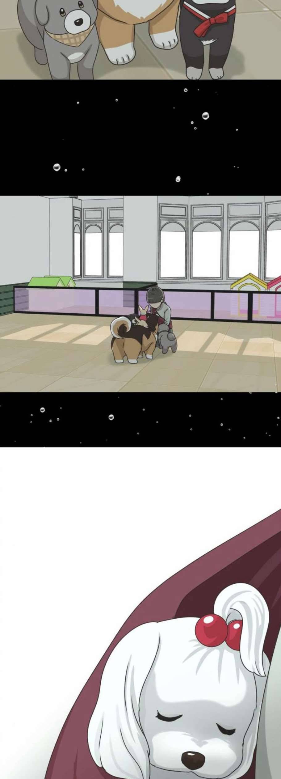 개를 낳았다 시즌2 39화 4