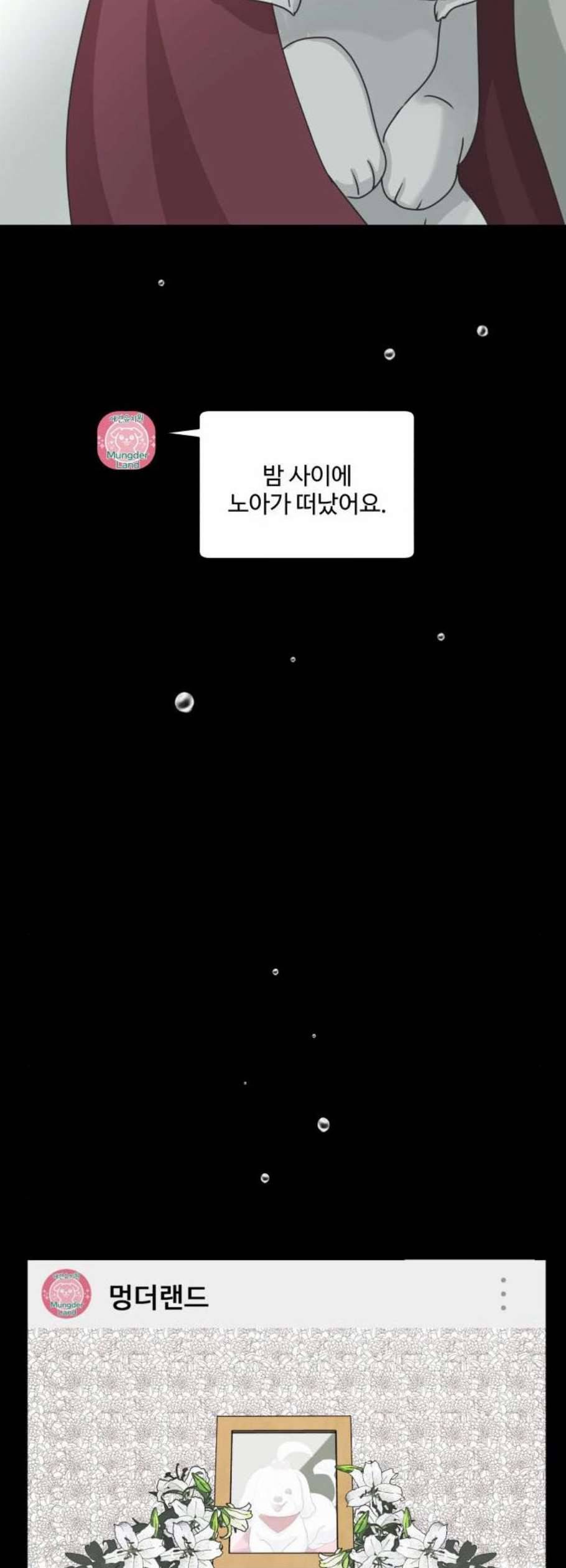 개를 낳았다 시즌2 39화 5