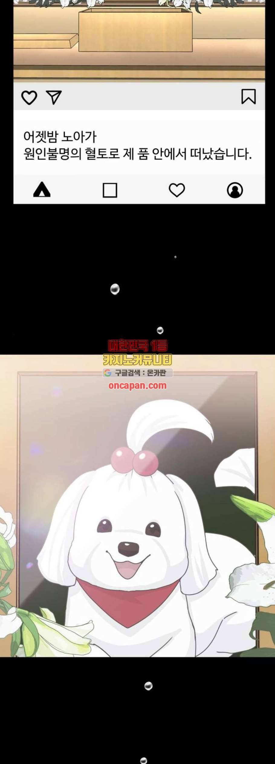개를 낳았다 시즌2 39화 6