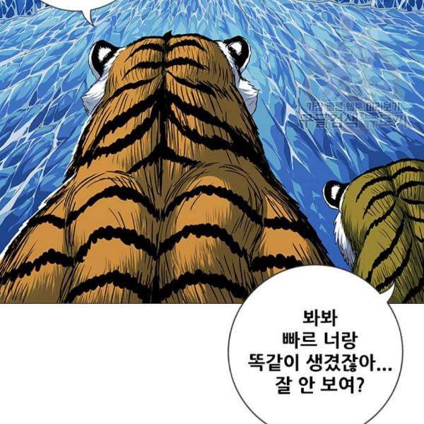 호랑이형님 2부 217화 역공 2 5