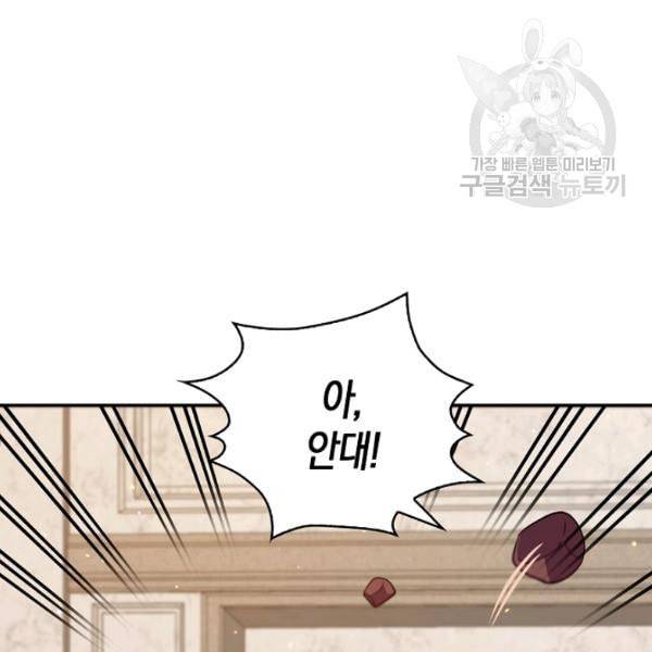 악당 대공님의 귀하디귀한 여동생 11화 17