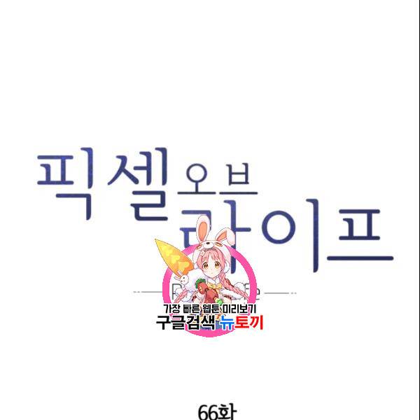 픽셀 오브 라이프 66화 1