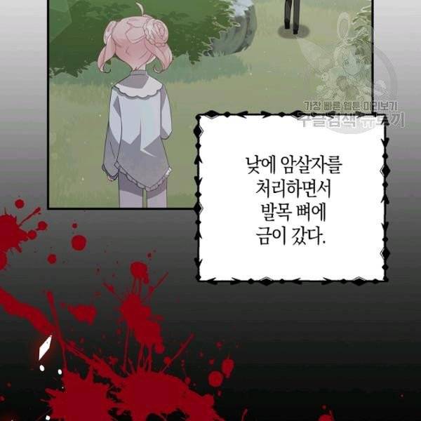악당 대공님의 귀하디귀한 여동생 26화 11