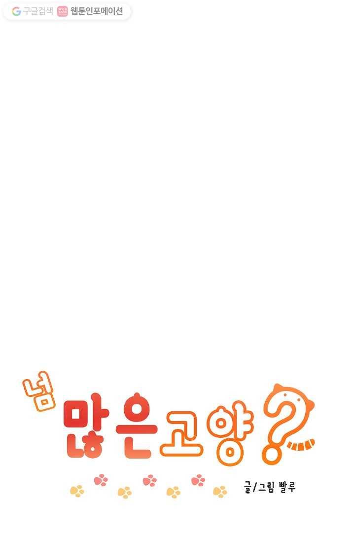넘 많은 고양! 013화 1