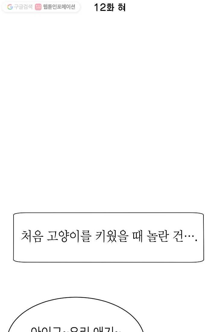 넘 많은 고양! 013화 2