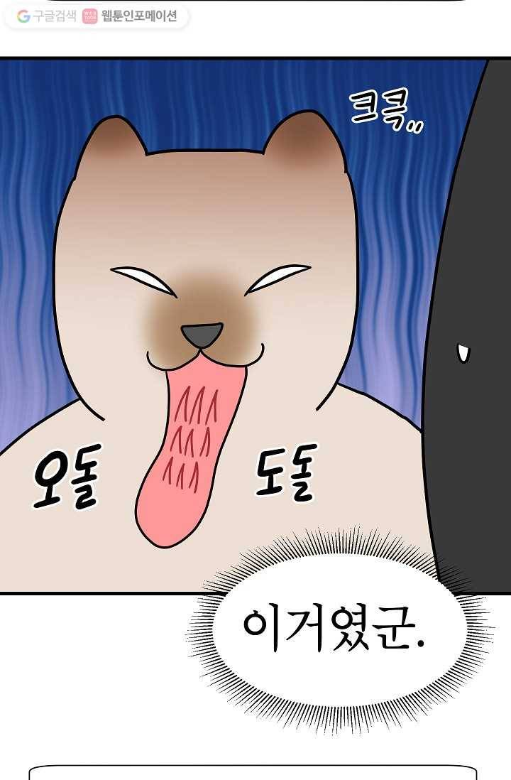 넘 많은 고양! 013화 11
