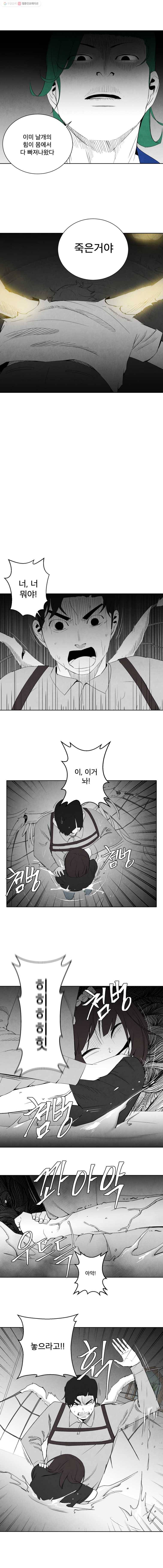 조류공포증 62화 3