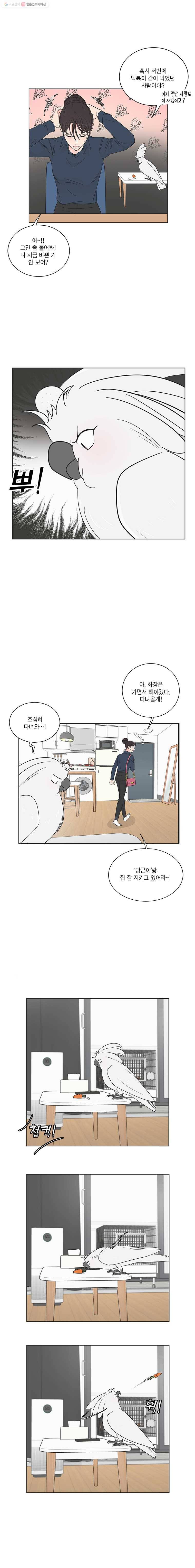 그녀의 앵무새 21화 현타 4