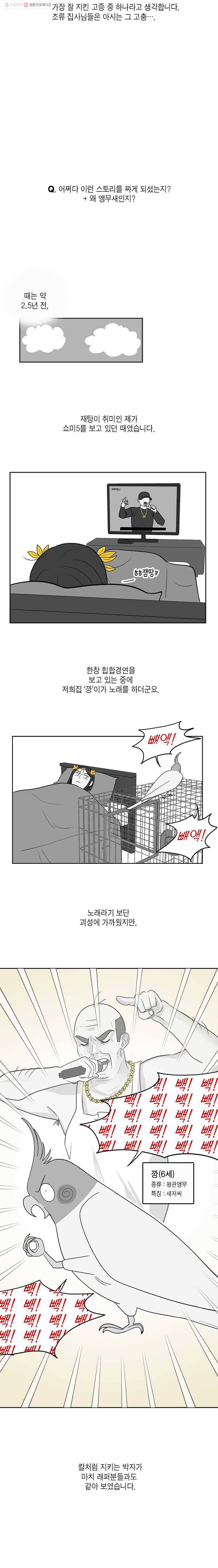 그녀의 앵무새 시즌1 후기 4