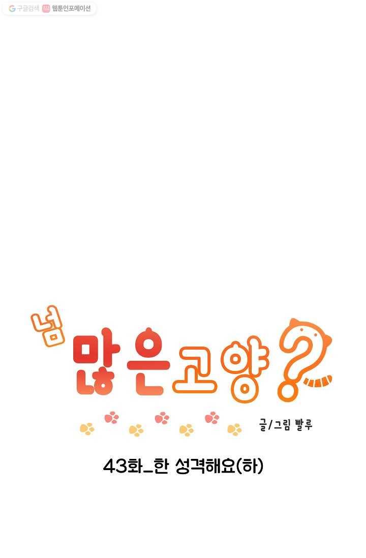 넘 많은 고양! 044화 1