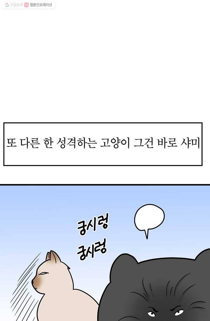 넘 많은 고양! 044화 2