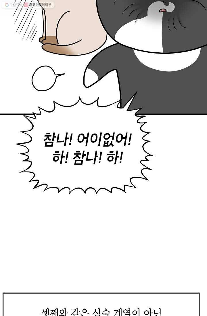 넘 많은 고양! 044화 3