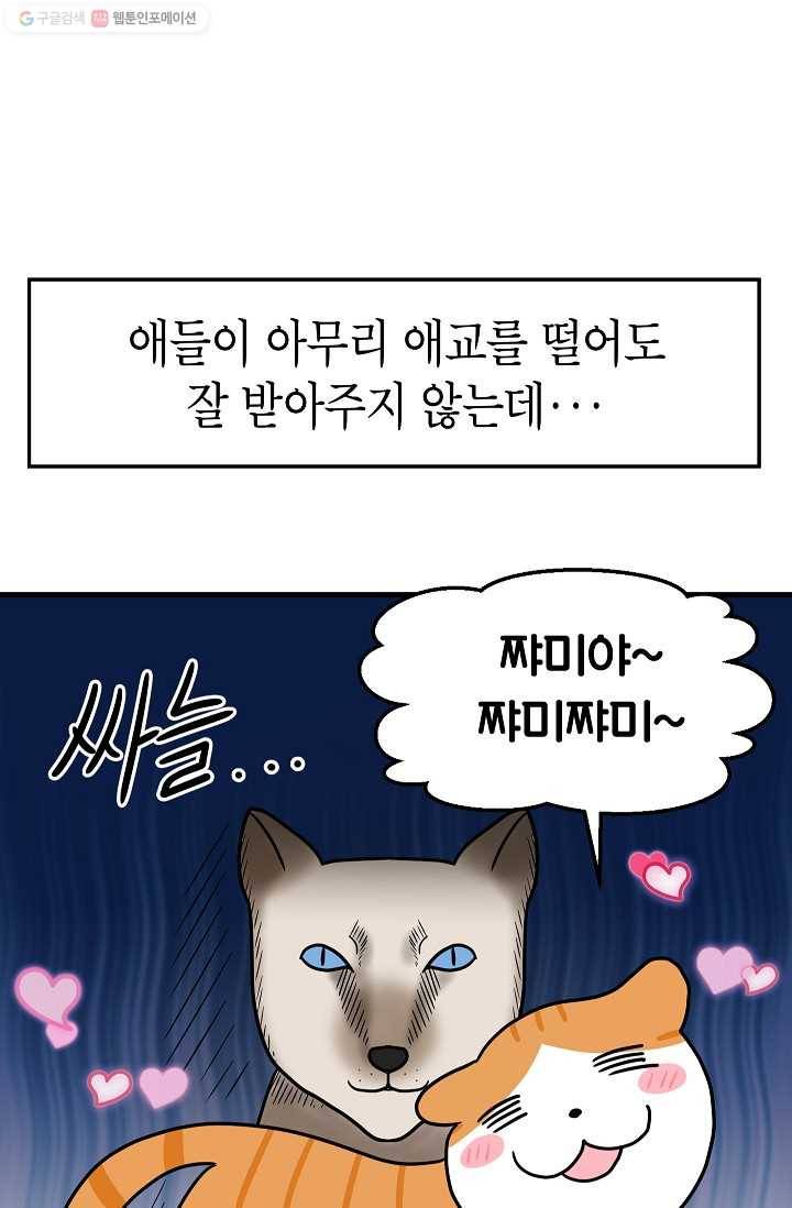 넘 많은 고양! 044화 5