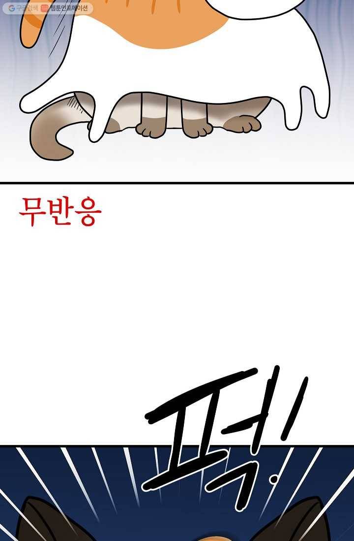 넘 많은 고양! 044화 6