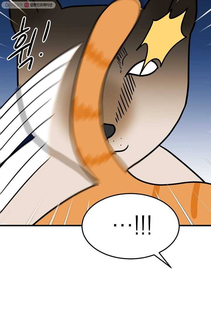 넘 많은 고양! 044화 7