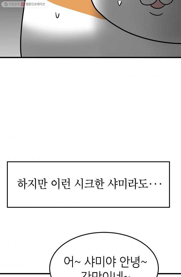 넘 많은 고양! 044화 9