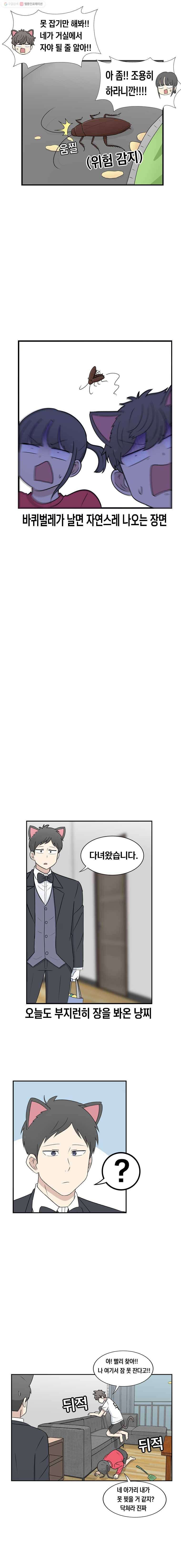 냥냐라냥냥 27.바퀴벌레 5