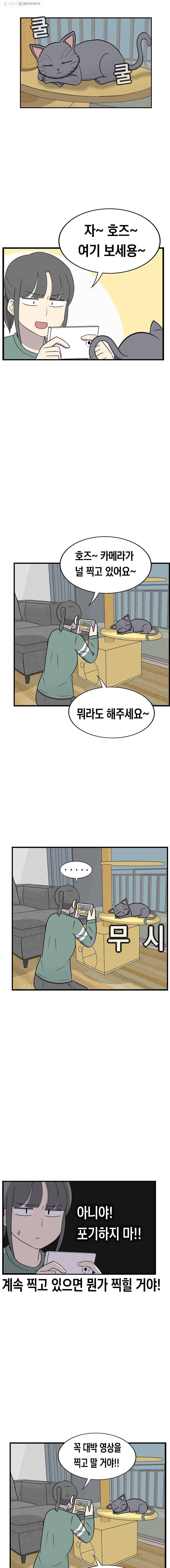 냥냐라냥냥 54.냥튜브(1) 4