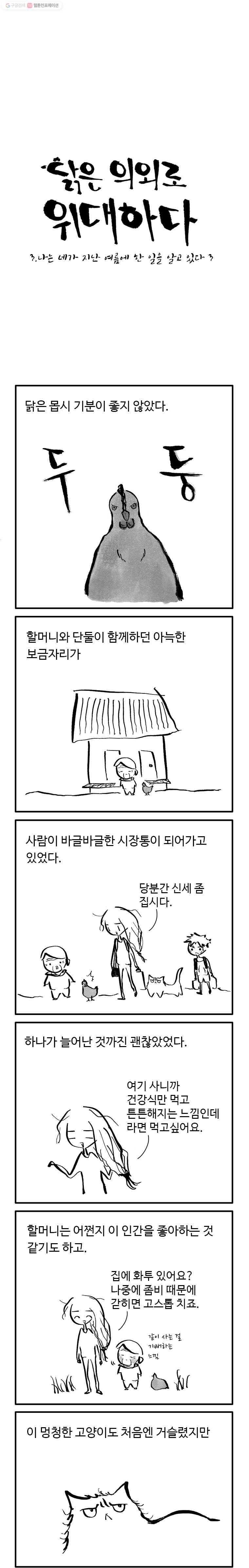 닭은 의외로 위대하다 17화 3.나는 네가 지난 여름에 한 일을 알고 있다 3 1