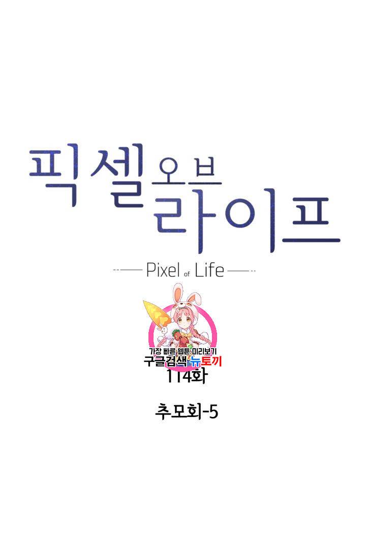 픽셀 오브 라이프 114화 1