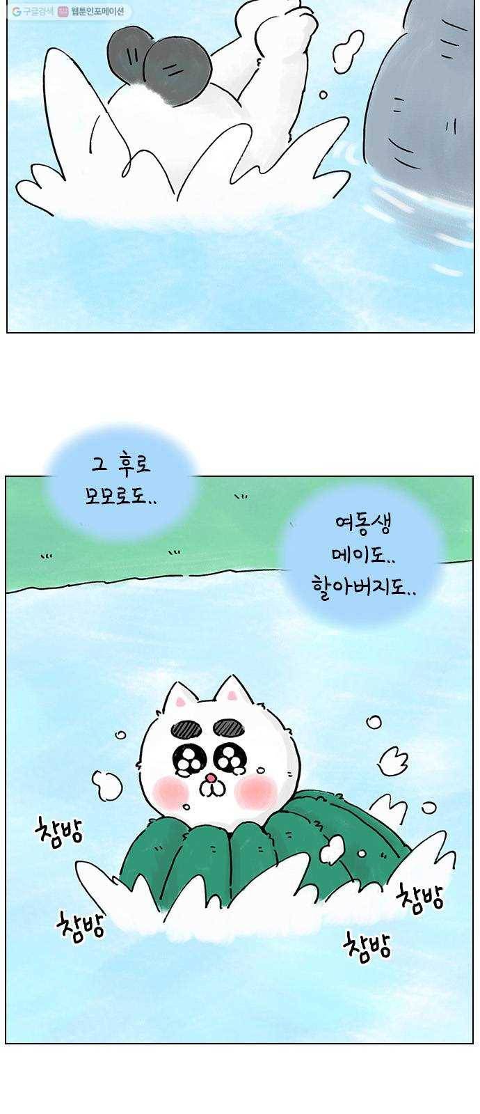 안녕 나의 모모로 스물하나 23