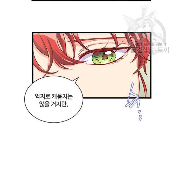 프리실라의 결혼 의뢰 65화 115