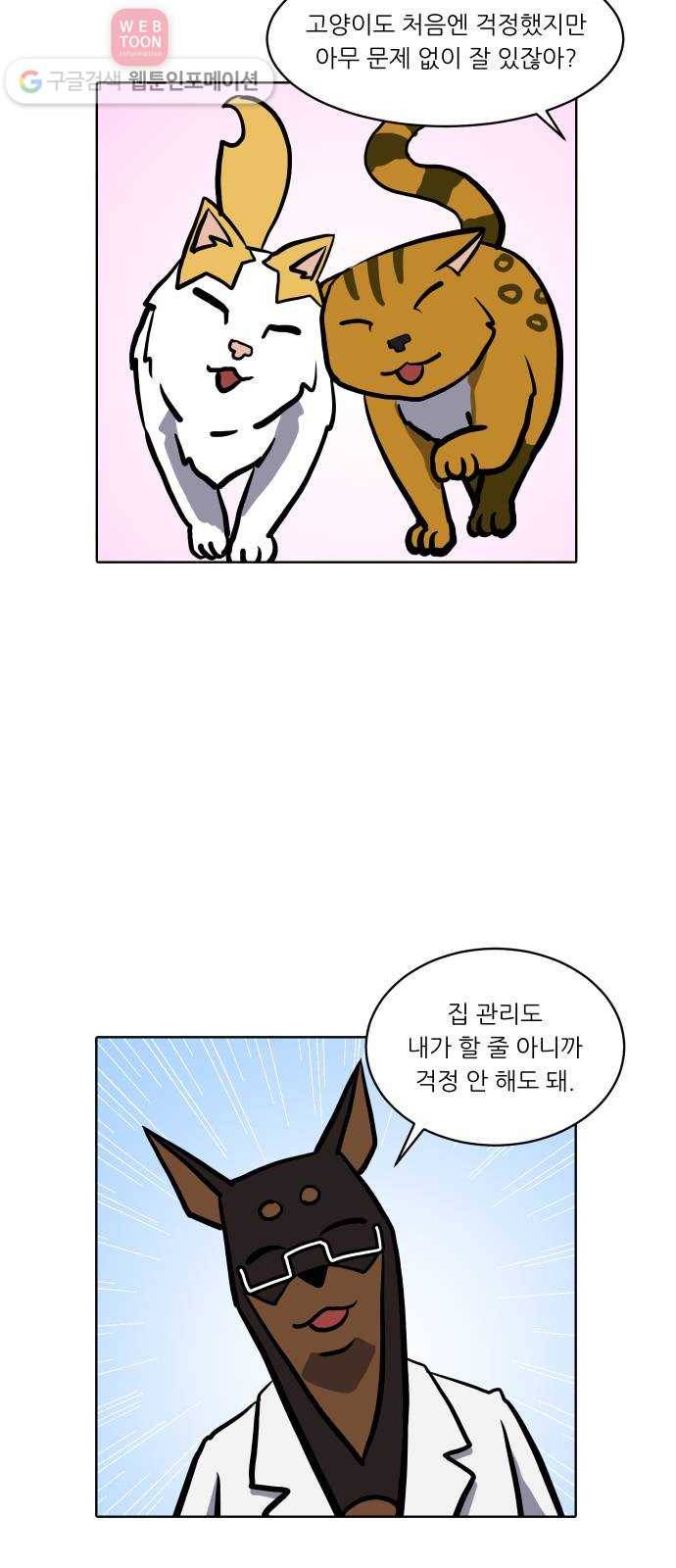 닥터앤닥터 육아일기 86. 스위트홈 1 9