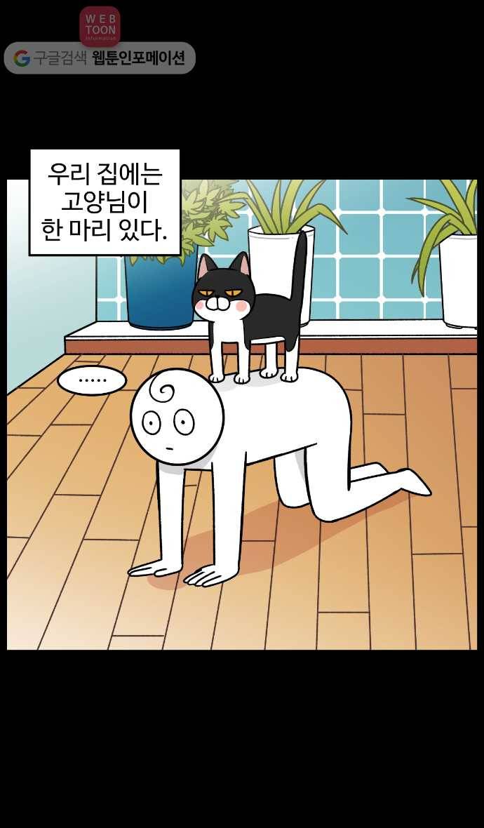 노곤하개 5화 고양이 매미 2