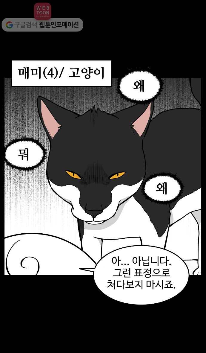 노곤하개 5화 고양이 매미 3