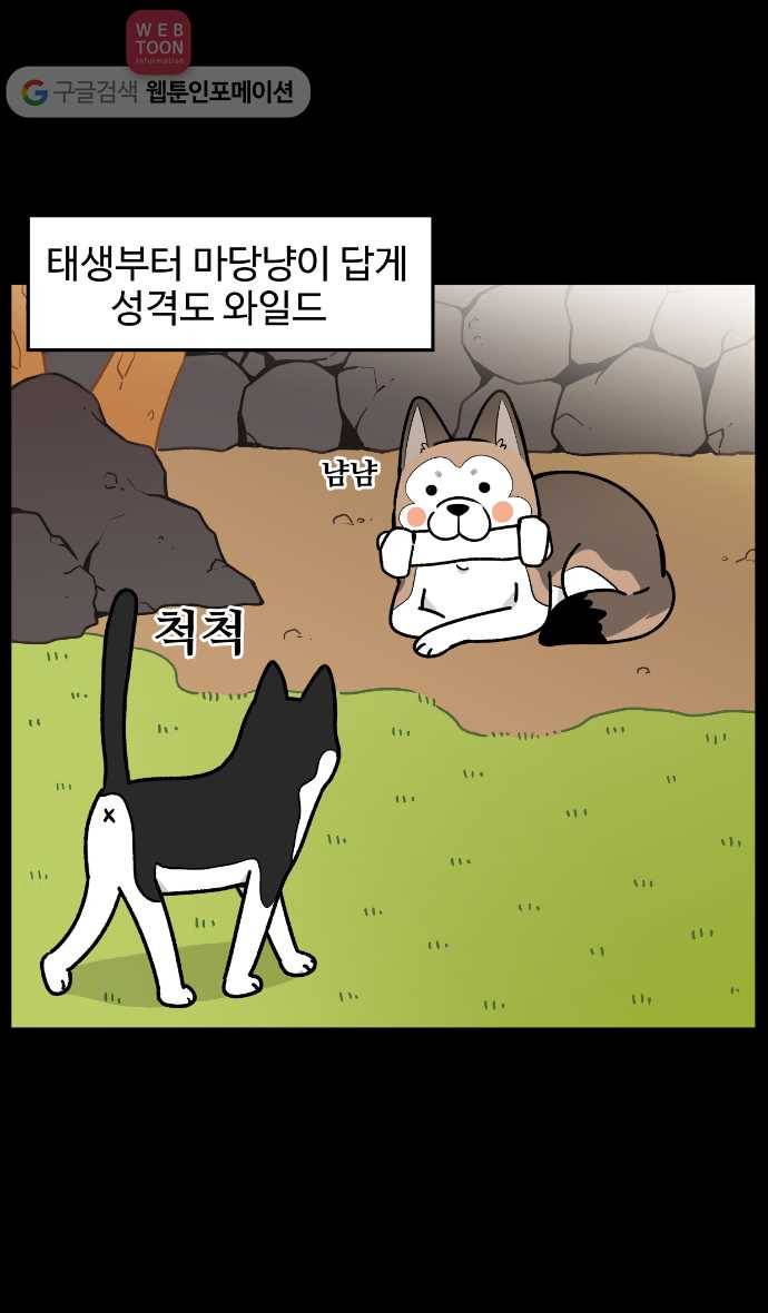 노곤하개 5화 고양이 매미 4