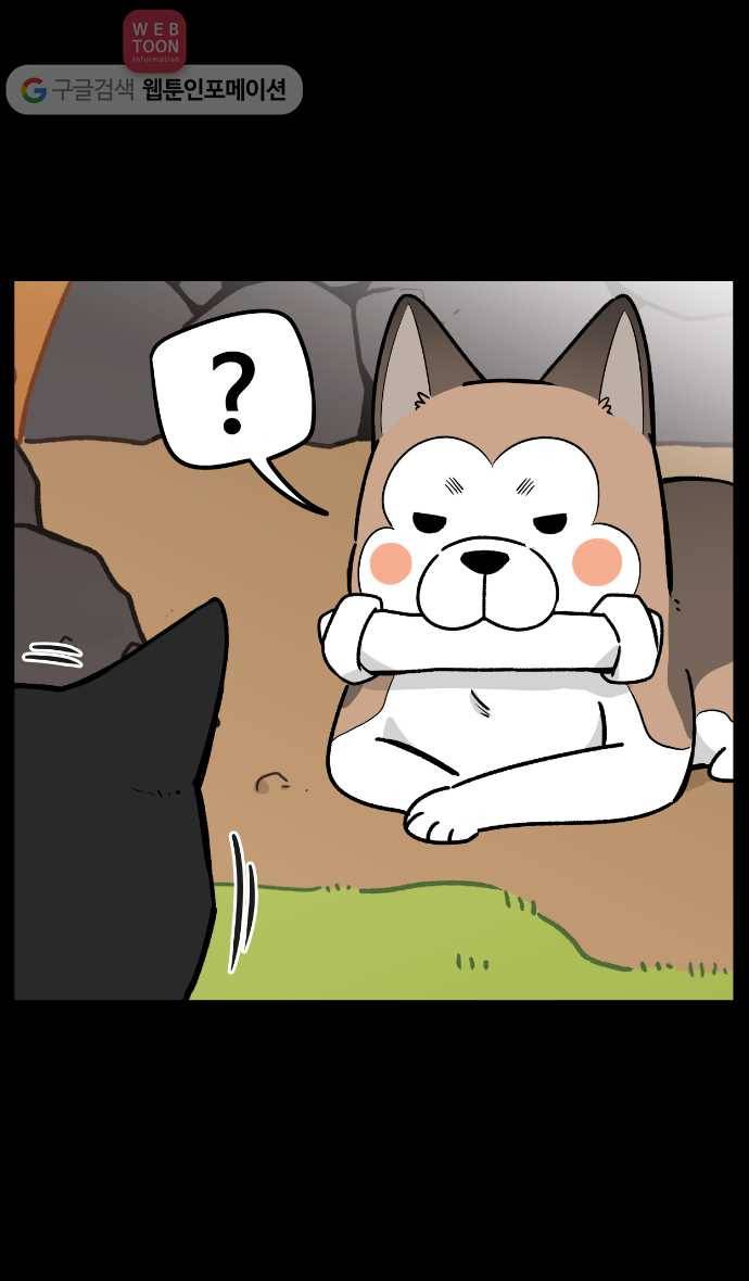 노곤하개 5화 고양이 매미 5