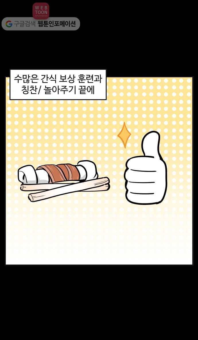 노곤하개 50화 비행기를 타자! 2
