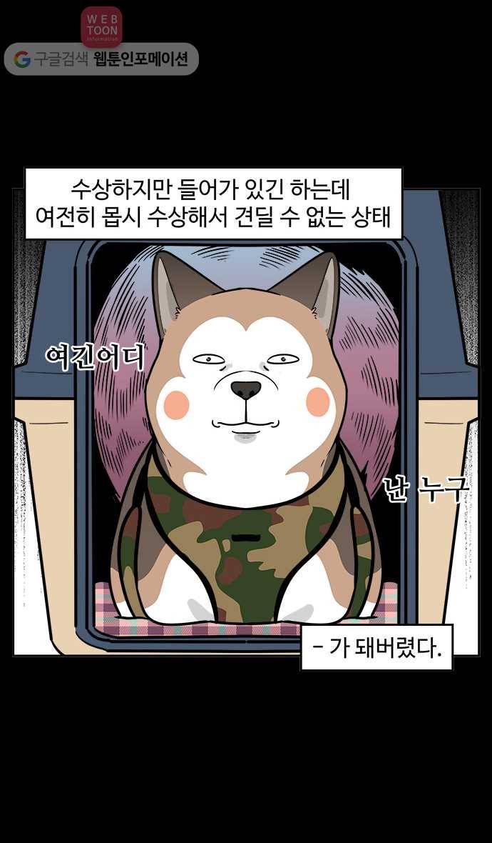 노곤하개 50화 비행기를 타자! 3