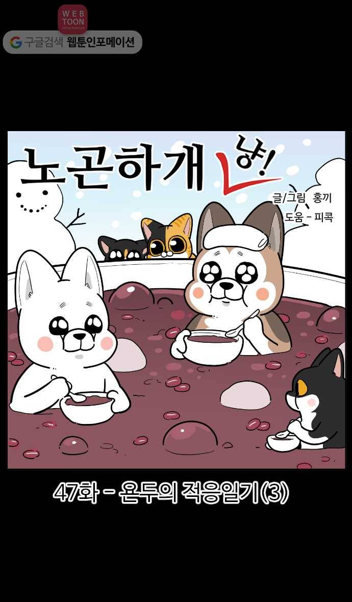 노곤하개 시즌2 47화 욘두의 적응일기(3) 1