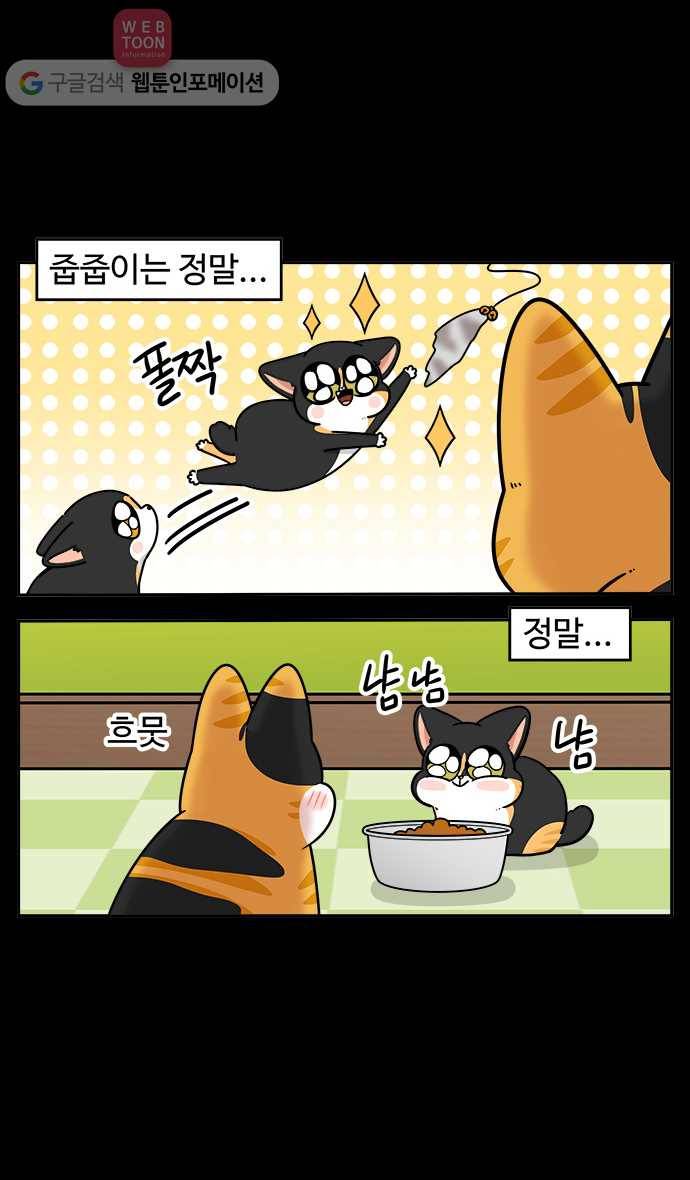 노곤하개 시즌2 47화 욘두의 적응일기(3) 2