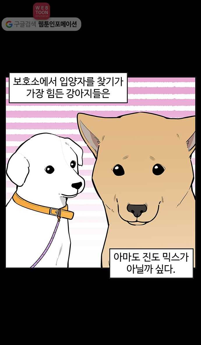 노곤하개 시즌2 65화 유기견 힝구 (1) 2