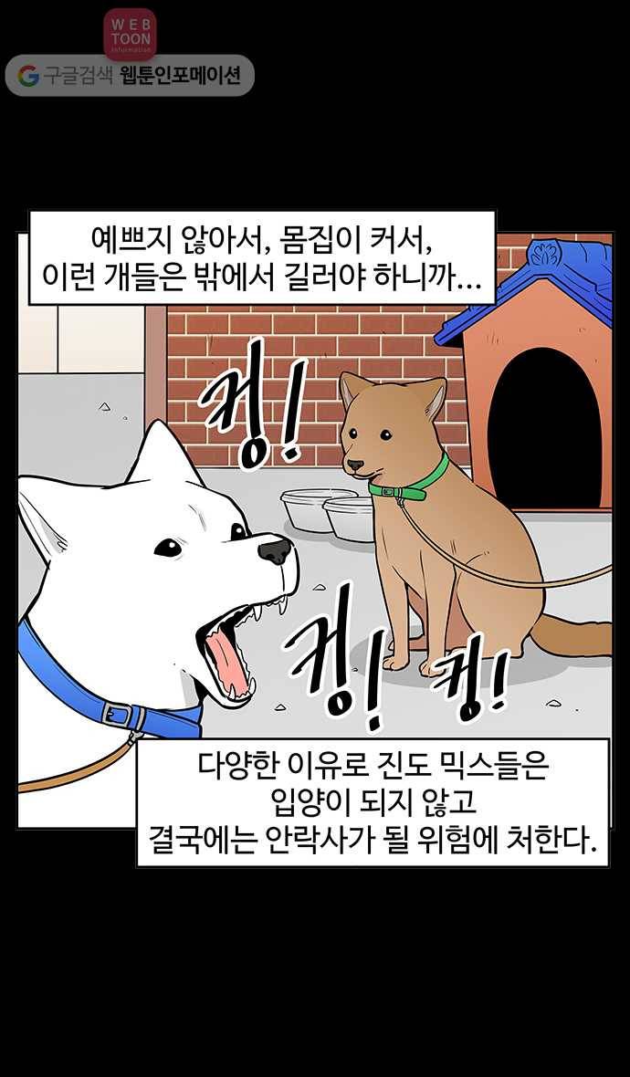 노곤하개 시즌2 65화 유기견 힝구 (1) 3