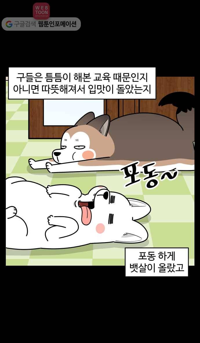 노곤하개 시즌2 91화 멍냥이와 뱃살 5