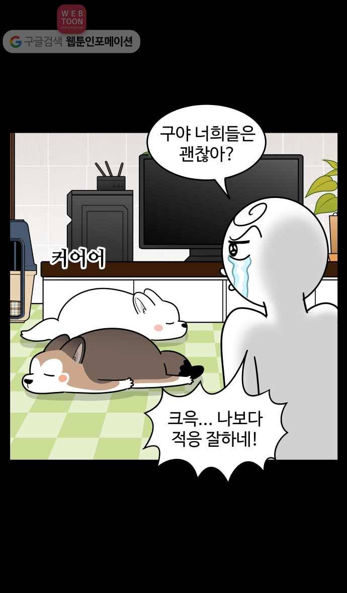 노곤하개 시즌2 100화 도시 생활의 마지막 4