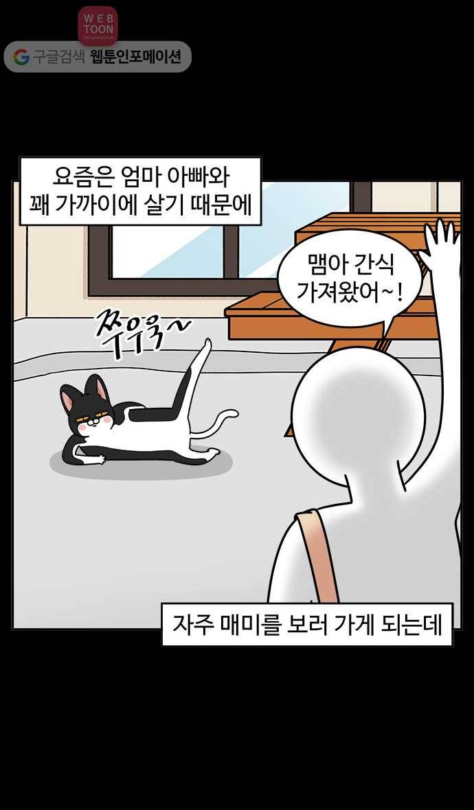 노곤하개 시즌3 8화 매미의 먹성 2