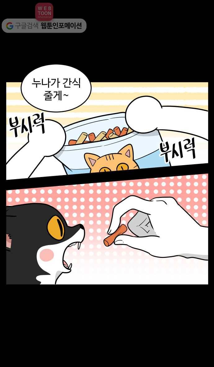 노곤하개 시즌3 8화 매미의 먹성 3