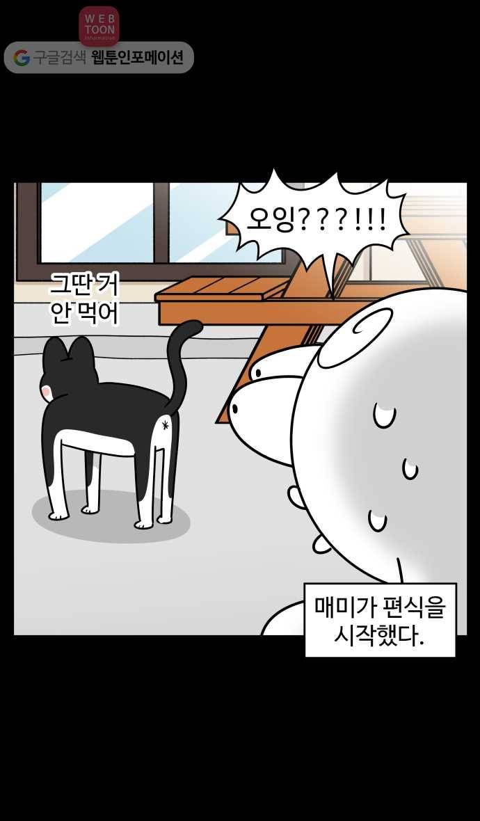 노곤하개 시즌3 8화 매미의 먹성 5