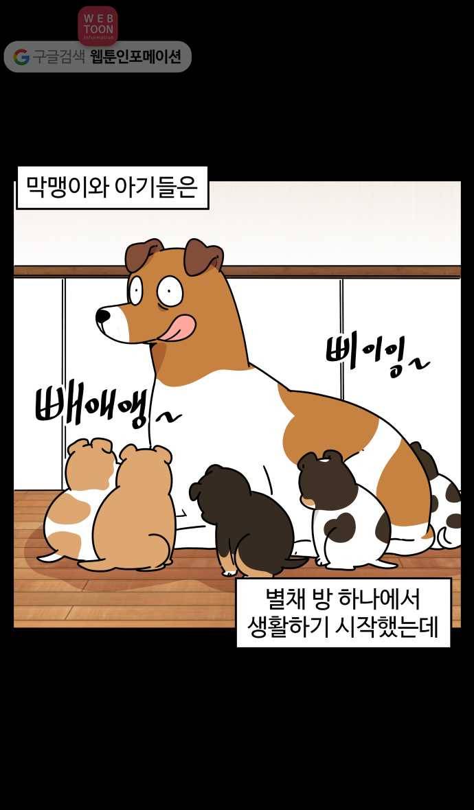 노곤하개 시즌3 18화 육아 스트레스 2