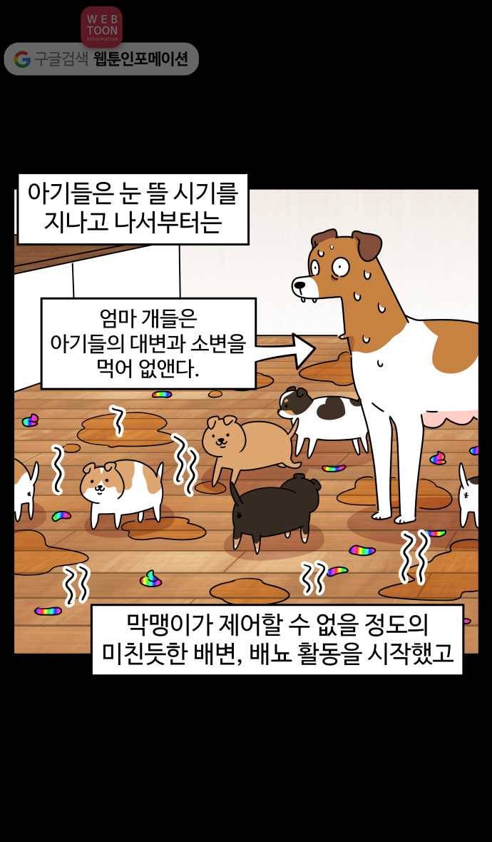노곤하개 시즌3 18화 육아 스트레스 4