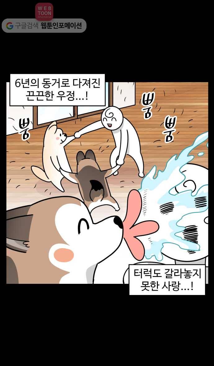 노곤하개 시즌3 28화 고오급 입맛 5