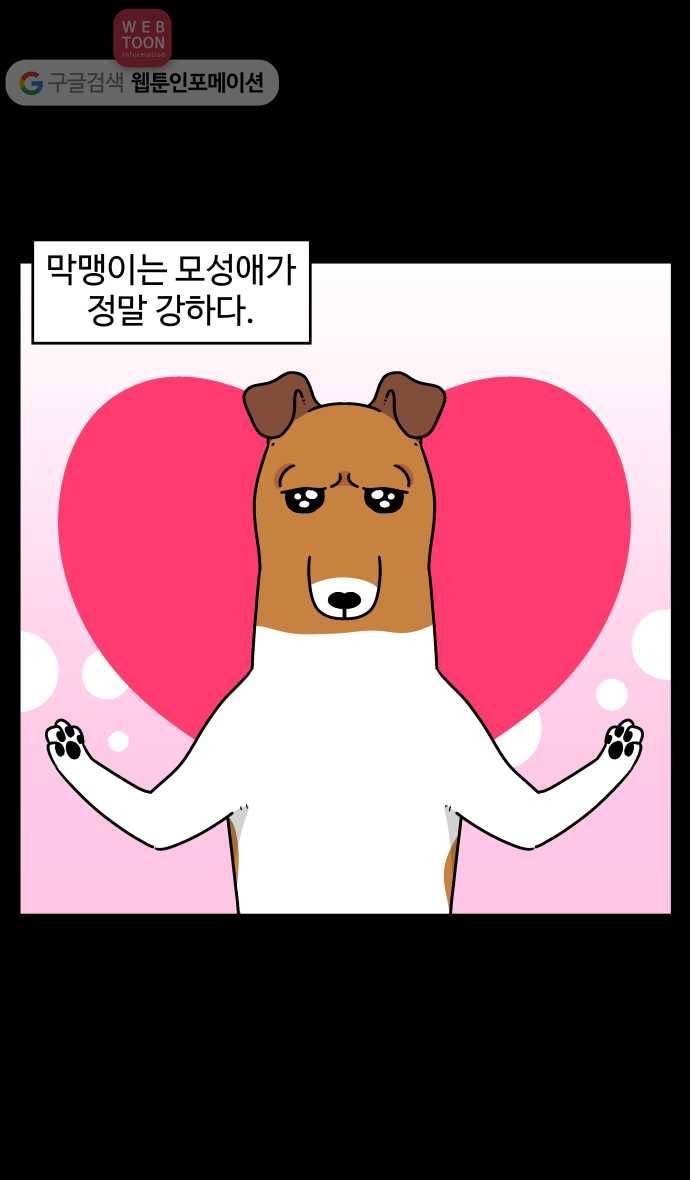 노곤하개 시즌3 38화 막맹이의 모성애 2