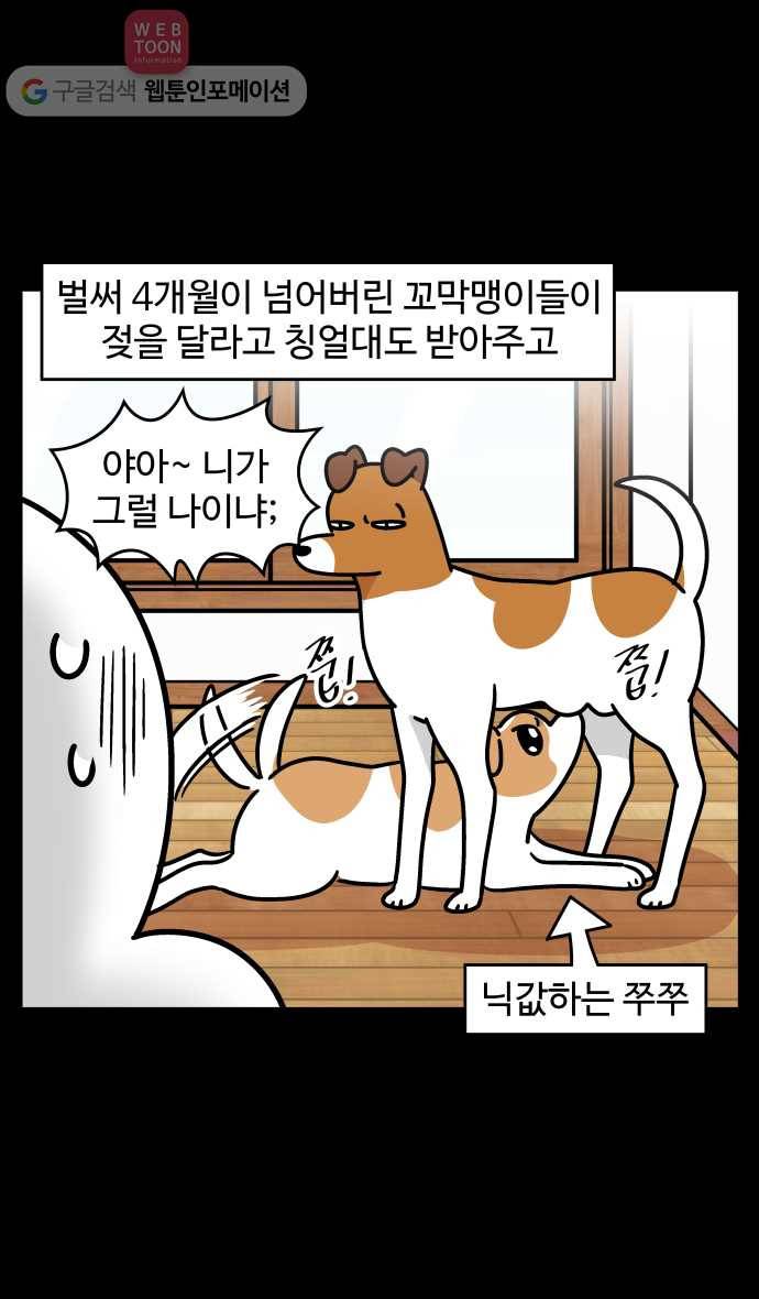 노곤하개 시즌3 38화 막맹이의 모성애 3